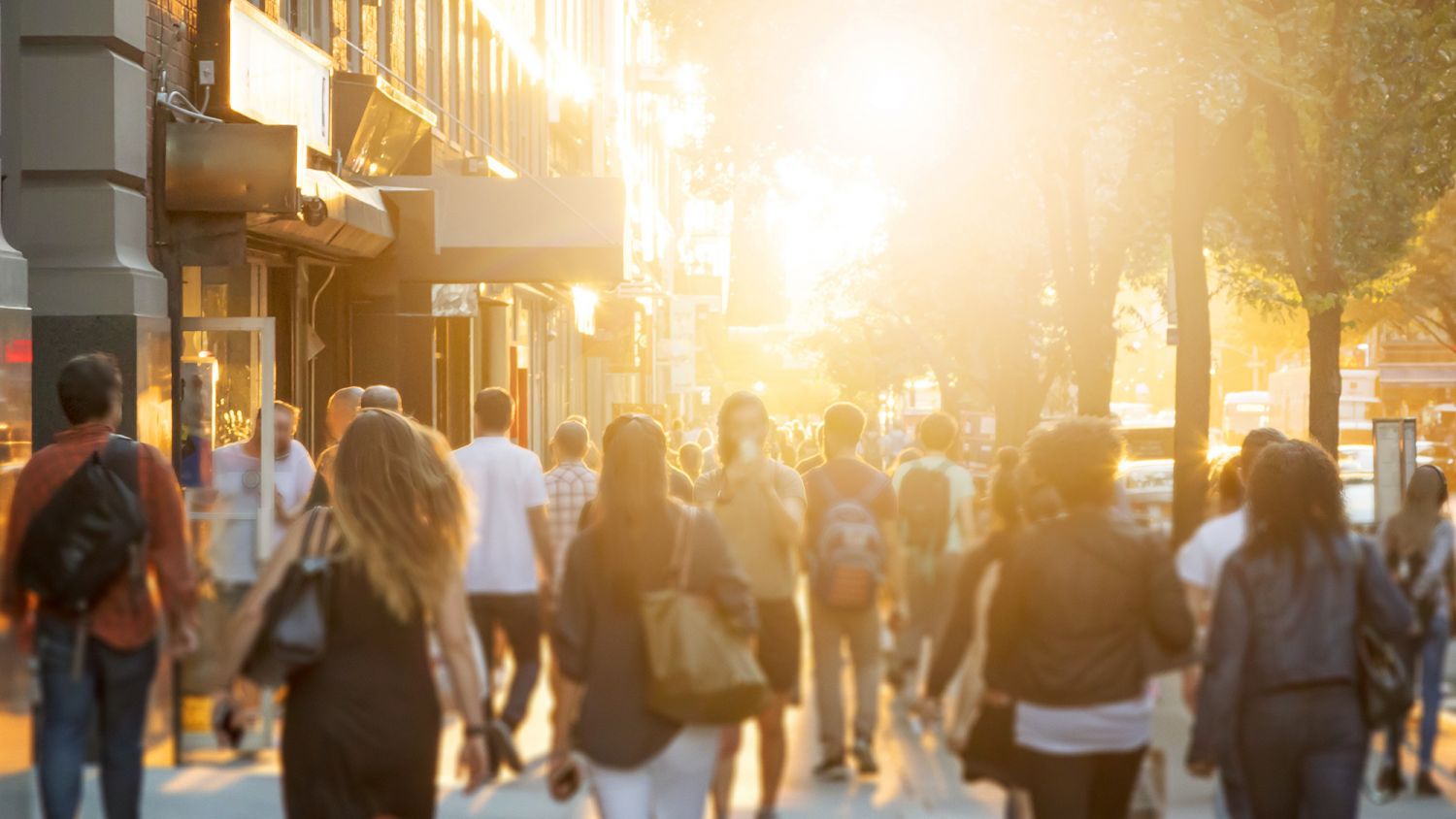 SGS Economics and Planning Economic and health benefits of walking