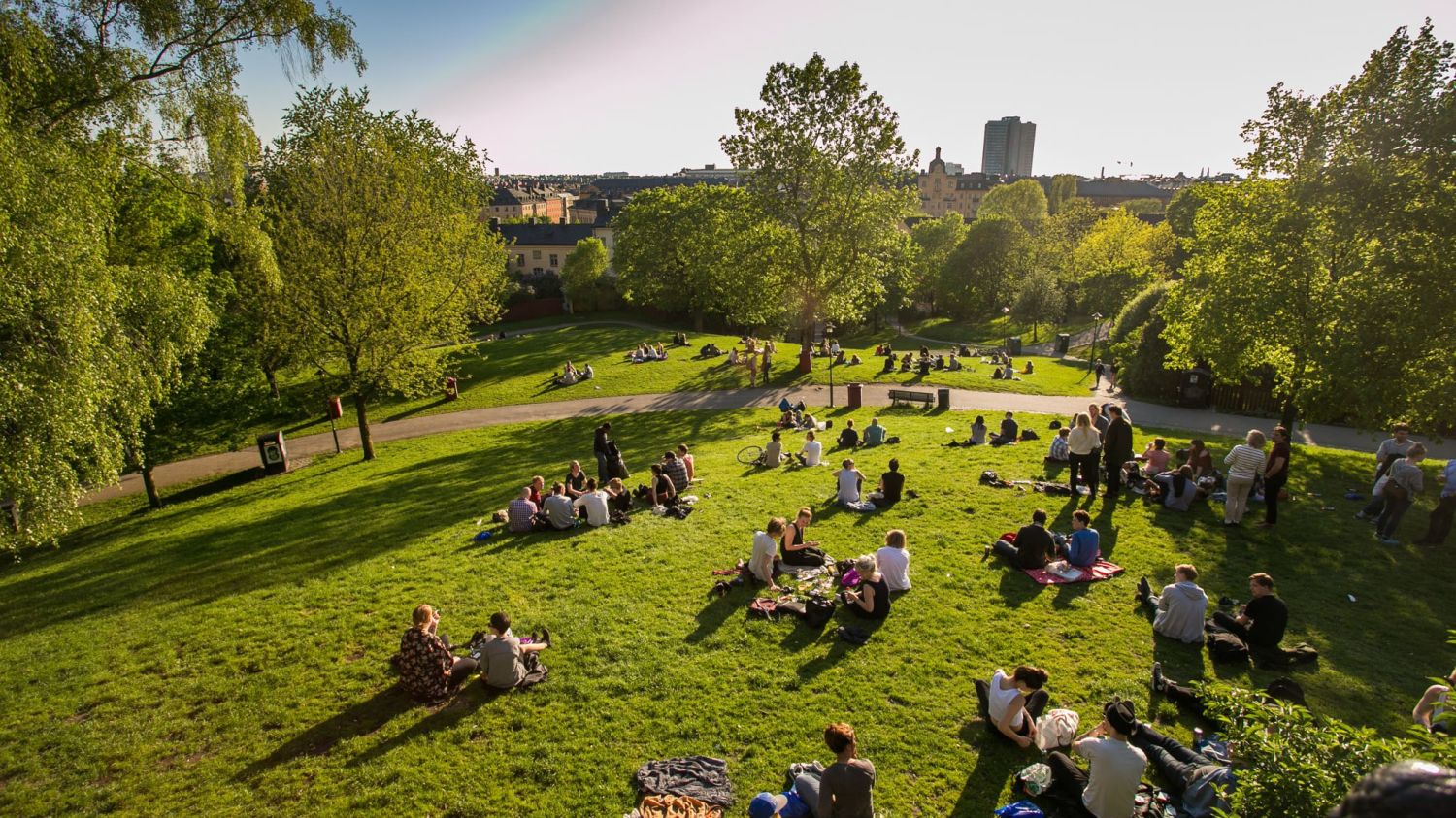 SGS Economic and Planning People in a Park