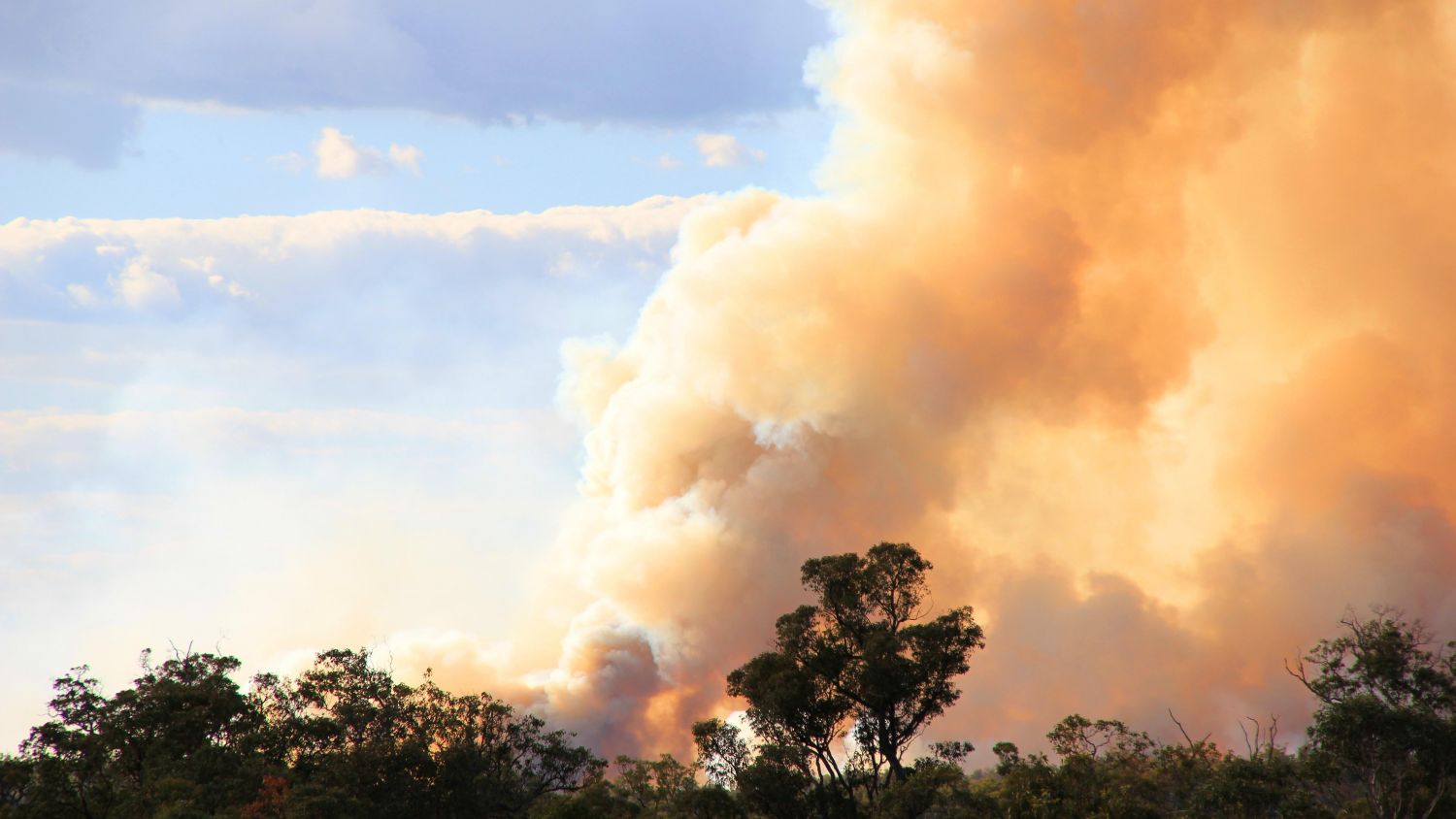 SGS Economics and Planning Bushfire2