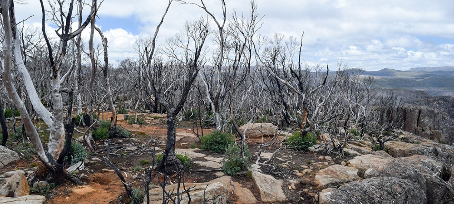 SGS Economics and Planning Bushfires Tasmania
