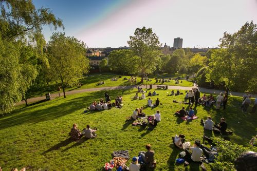 SGS Economic and Planning People in a Park