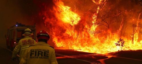 SGS Economics and Planning Bushfires in Victorias East Jan 2020