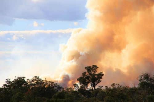 SGS Economics and Planning Bushfire2