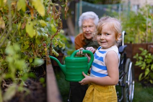 SGS Economics and Planning CRWI2